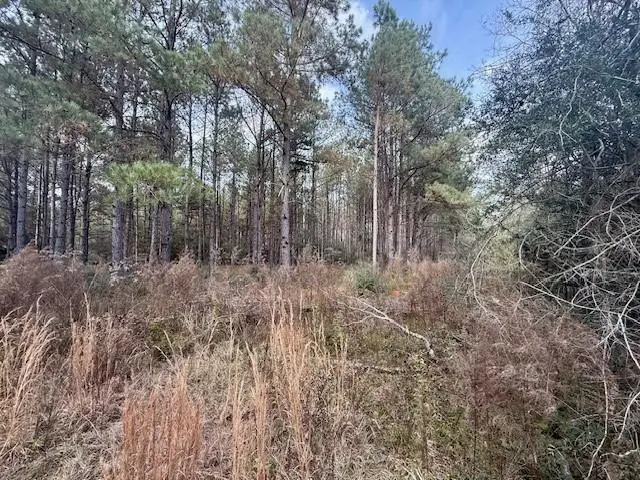 00 Burch Road, Mount Hermon, LA 70450 - #3