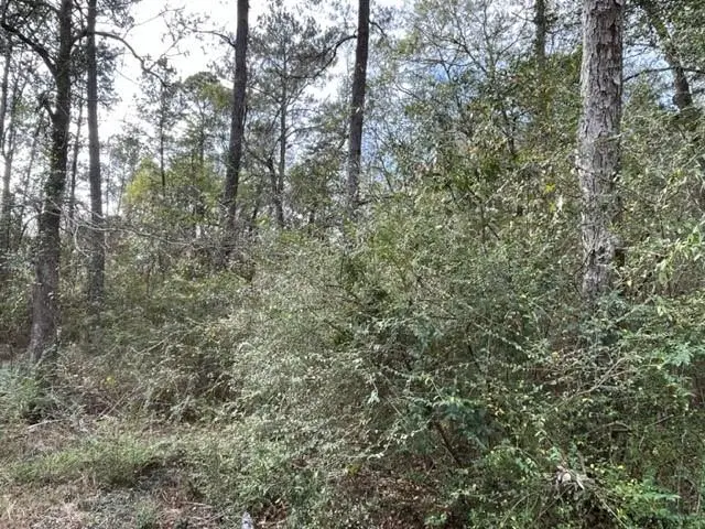 000 Monitor Drive, Slidell, LA 70460 - #1