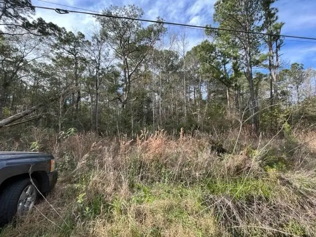 60351 Highway 434 Lake Road, Lacombe, LA 70445 - #2