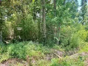 Destin Street, Mandeville, LA 70448 - #1