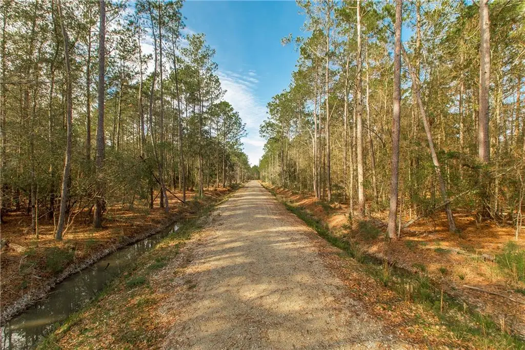 18382 Amore Way, Covington, LA 70435 - #1