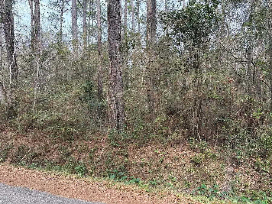 0 Huey Street, Lacombe, LA 70445 - #2