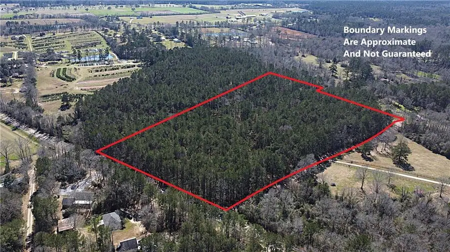 14.88 Acres Hwy 450 Road, Folsom, LA 70437 - #2