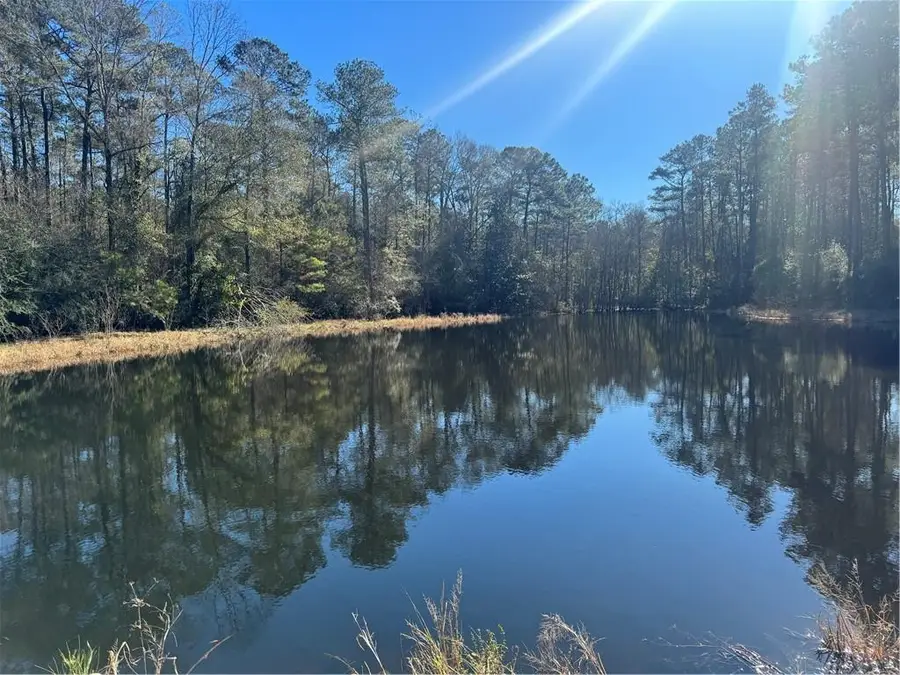 E Bell Road, Amite, LA 70422 - #3