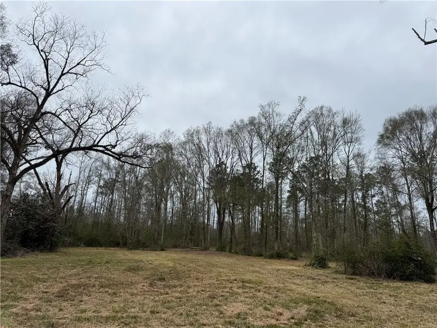 63271 Hill Street, Roseland, LA 70456 - #2