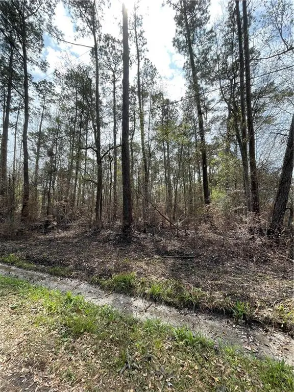 2678 Lucille Drive, Lacombe, LA 70445 - #3