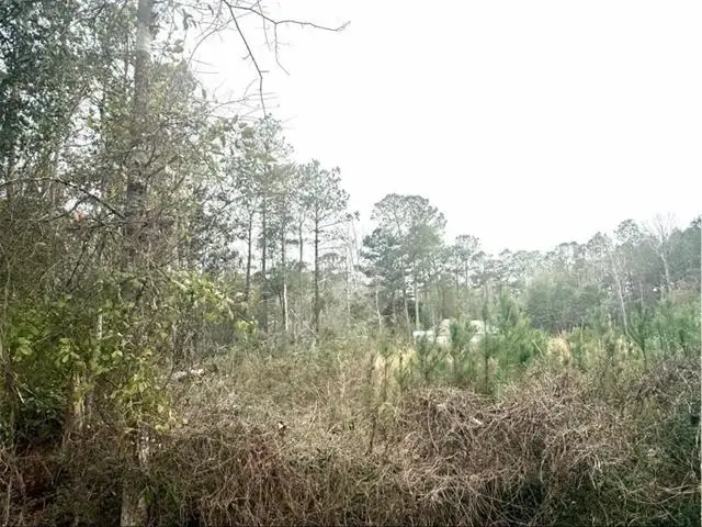 0 Lilac Drive, Lacombe, LA 70445 - #2