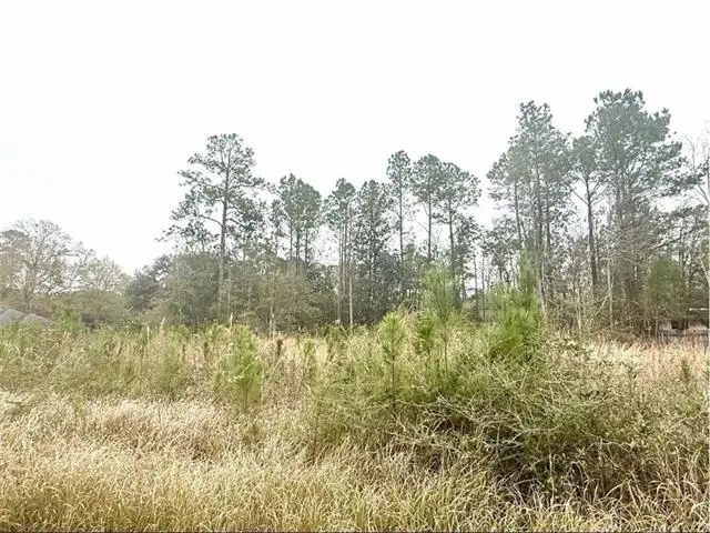 0 Lilac Drive, Lacombe, LA 70445 - #3