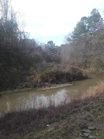 TBD Hwy 51 Highway, Fluker, LA 70436 - #3