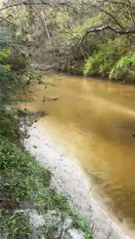 79173 Lady Lane, Folsom, LA 70437 - #1