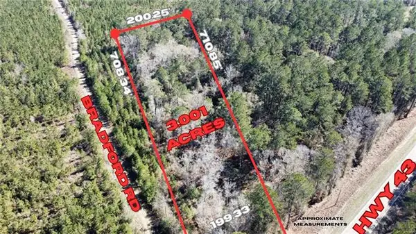 3 Acres Hwy 43 Highway, Independence, LA 70443
