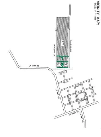 12382 Quaglino Road, Folsom, LA 70437 - #3