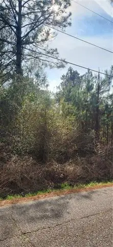 0 Ray Keen Road, Covington, LA 70435 - #1