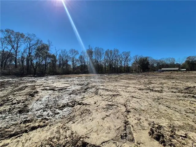 Tract B Stafford Road, Tickfaw, LA 70466 - #2