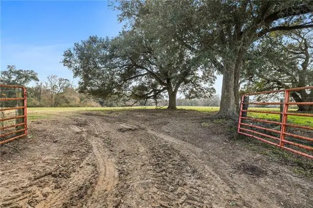 255 Jp Thomas Road, Amite, LA 70422 - #3