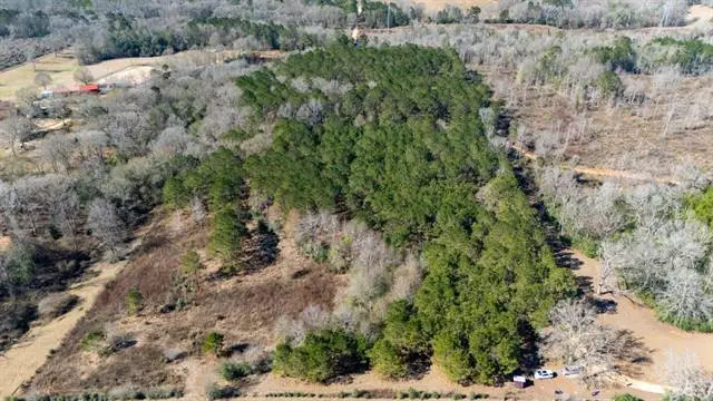 TBD Joe Passman Road, Franklinton, LA 70438 - #2