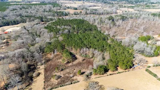 TBD Joe Passman Road, Franklinton, LA 70438 - #3