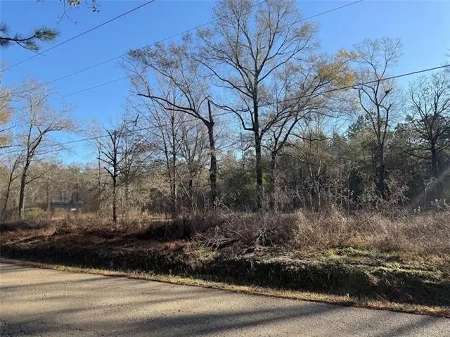 25230 Firetower Road, Holden, LA 70744 - #1