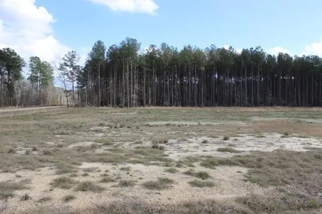 24755 442 Highway, Independence, LA 70443 - #1