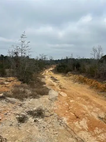 16412 Mccauley Sheridan Road, Bogalusa, LA 70427 - #2