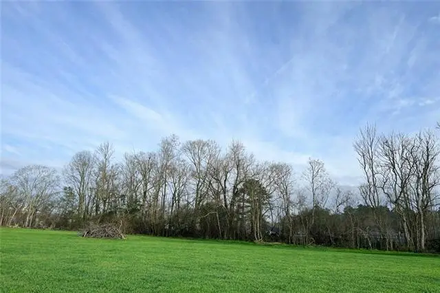 44080 Mary Singletary Road, Saint Amant, LA 70774 - #2