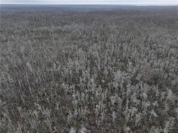 0 Lower Rome Road, Springfield, LA 70462