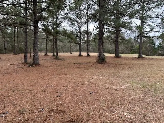 26585 Old Lake Road, Mount Hermon, LA 70450 - #1