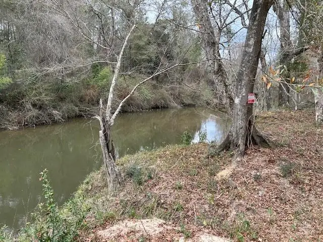 26585 Old Lake Road, Mount Hermon, LA 70450 - #3