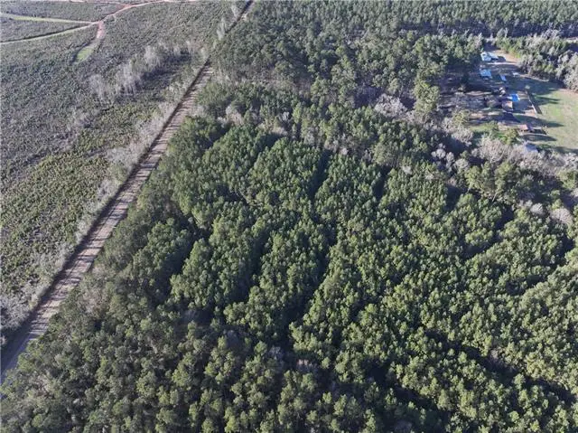 Hwy 43 Highway, Greensburg, LA 70441 - #3