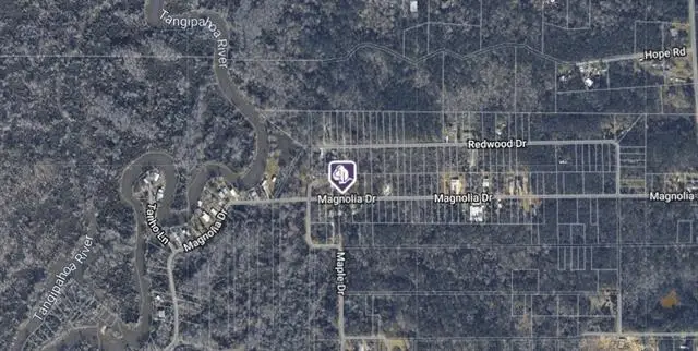 23475 Magnolia Drive, Ponchatoula, LA 70454 - #2