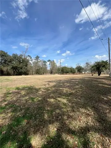 16683 Meissner Road, Springfield, LA 70462 - #3