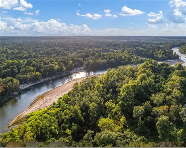 Lot 66 The Banks Drive - Hwy 16 Highway, Franklinton, LA 70438 - #3