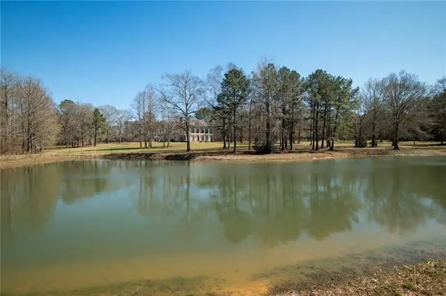 54198 Straughan Nursery Road, Loranger, LA 70446 - #2