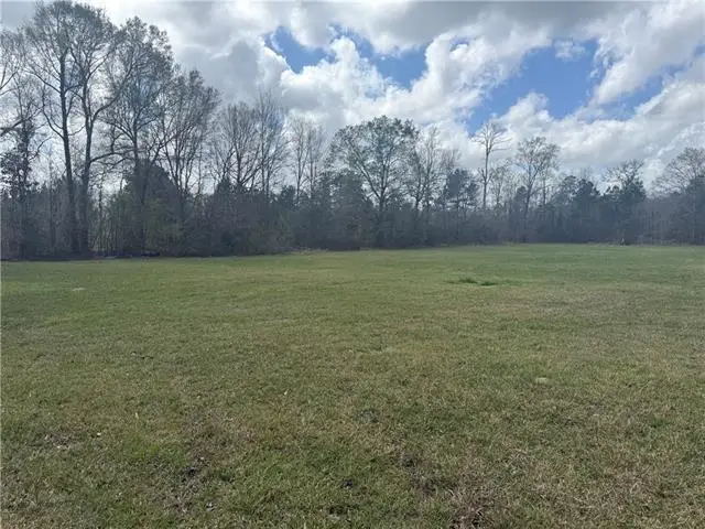 TBD Palmisano Drive, Hammond, LA 70403 - #2