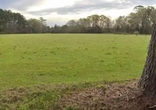 27551&27569 N Horseshoe Road, Independence, LA 70443