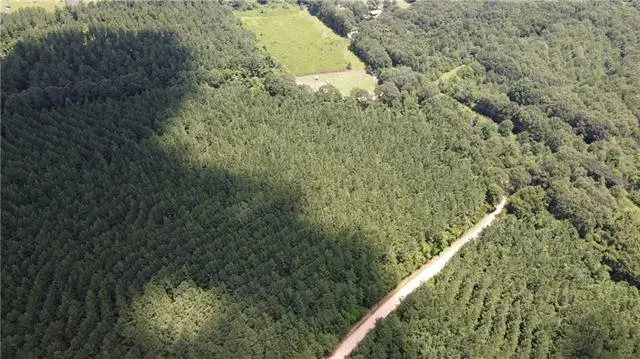 Lot F Otis Jones Road, Franklinton, LA 70438 - #1