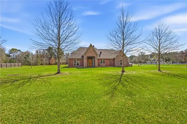 42587 Pleasant Ridge Rd Ext Road, Ponchatoula, LA 70454 - #2