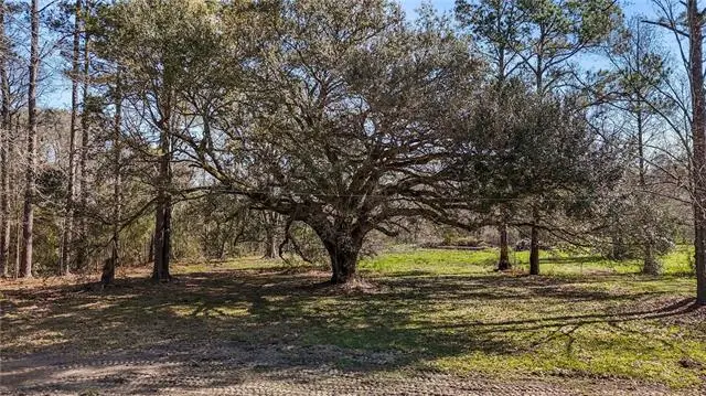 13168 Joor Road, Baton Rouge, LA 70818 - #3