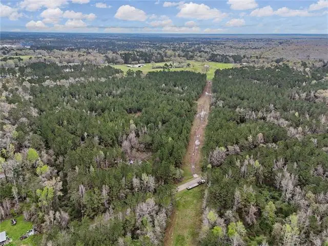 NHN Simmons Rd #2 Road, Bogalusa, LA 70427 - #2