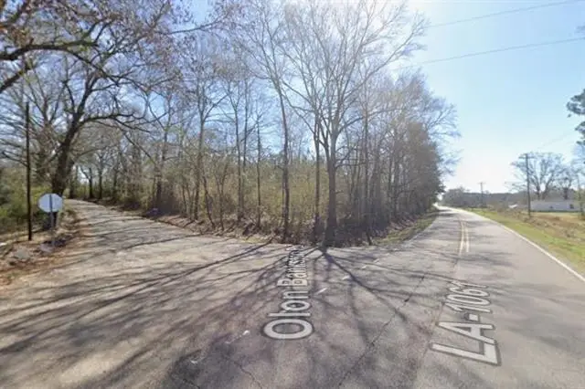 Olon Bankston Road, Kentwood, LA 70444 - #3