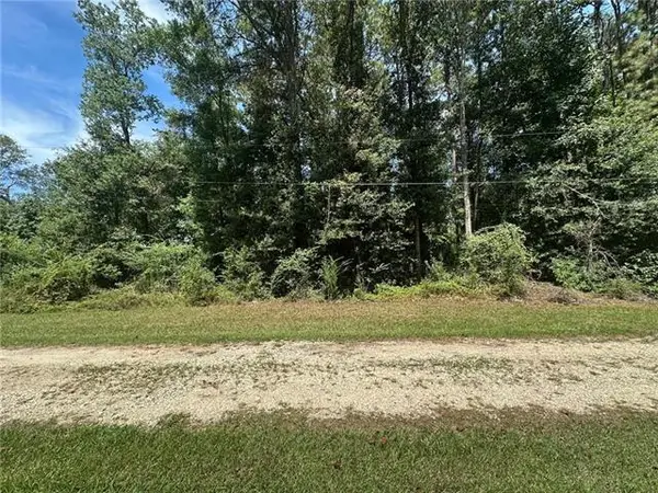 TBD Tract 4 Ragusa Road, Independence, LA 70443