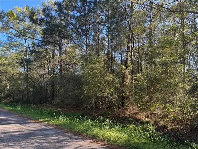 Lot 4A Bayou Oa Claiborne St Street, Slidell, LA 70460 - #1