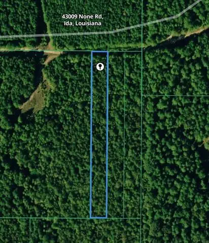 43009 None Road, Ida, LA 71044 - #1