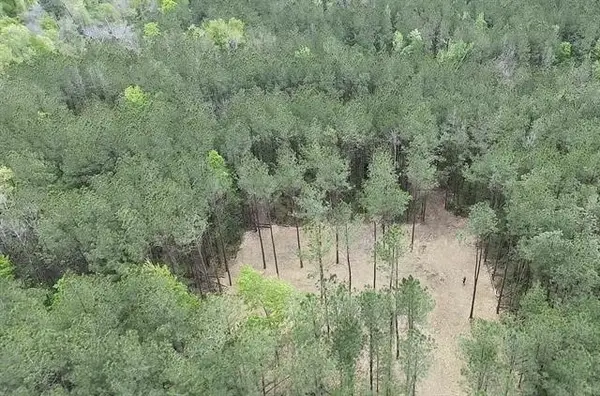 TBD Harts Lane, Kentwood, LA 70444