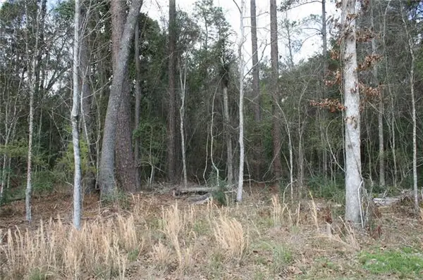 21149 Little River Court, Covington, LA 70435