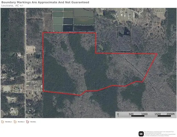 135 Acres Belle Woods Drive, Holden, LA 70744 - #1