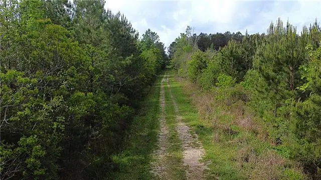 420 Acres Palmer Road, Livingston, LA 70754 - #3