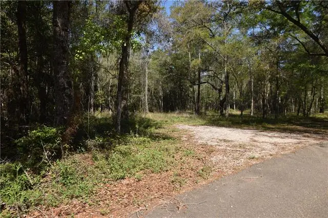 00 Sally Welch Road, Lacombe, LA 70445 - #2