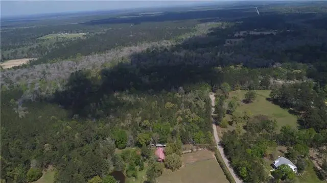 10 Acres Holliday Road, Folsom, LA 70437 - #3