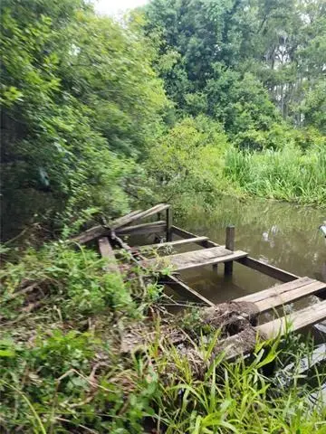 1.40 Acres Vacant Land, Ponchatoula, LA 70454 - #2